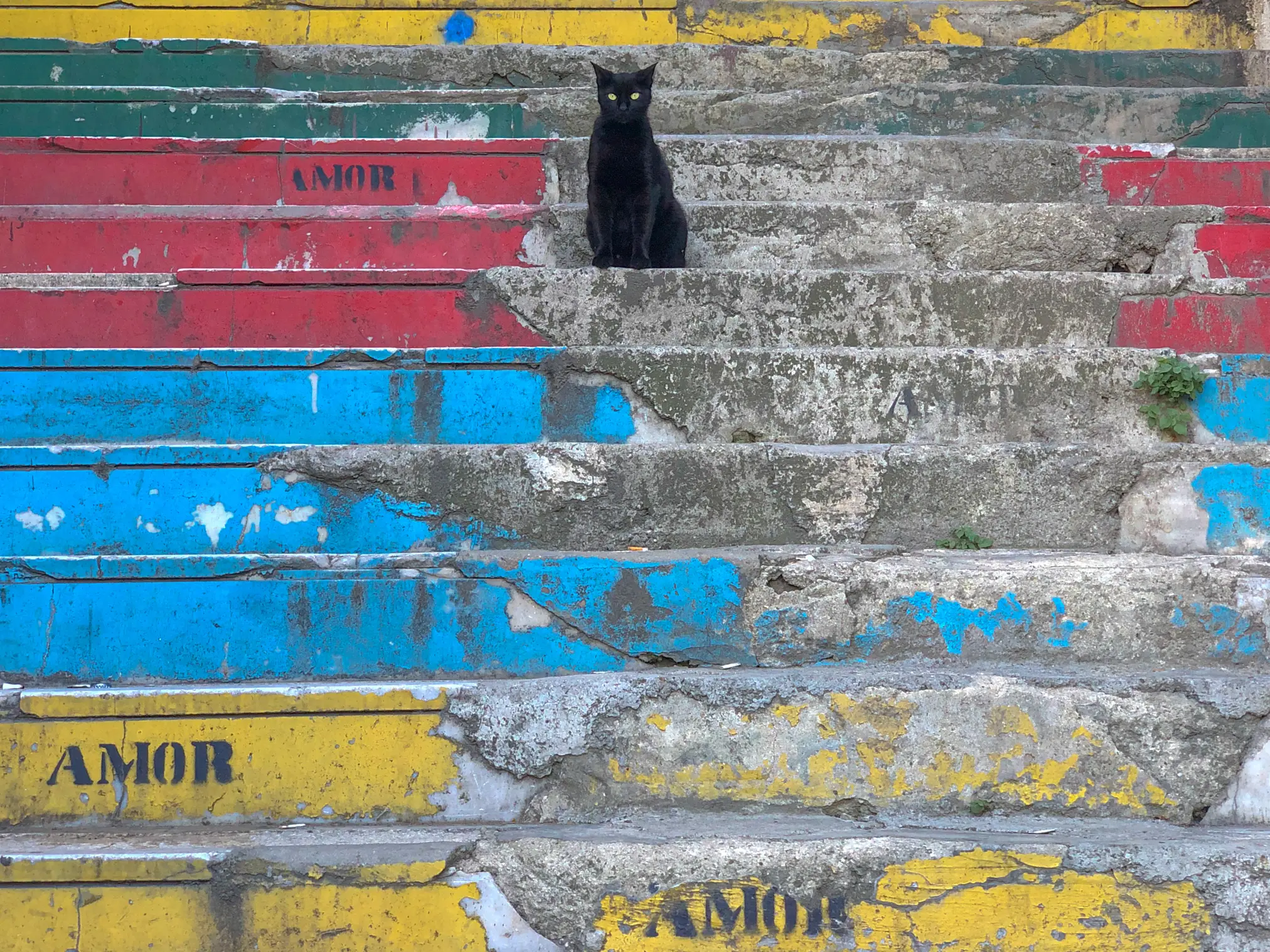 Turkey opening image