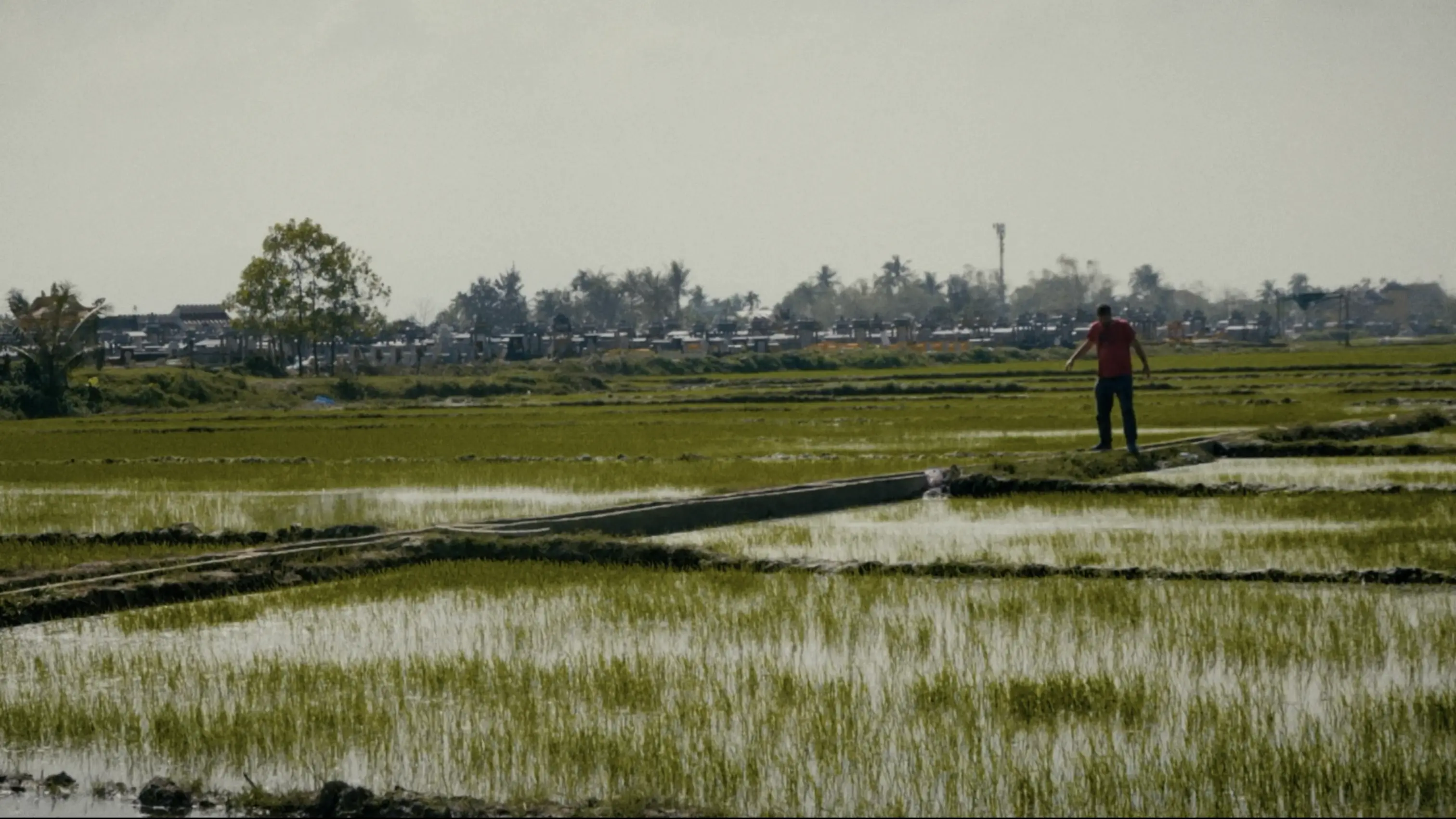 Rhinoceros opening image