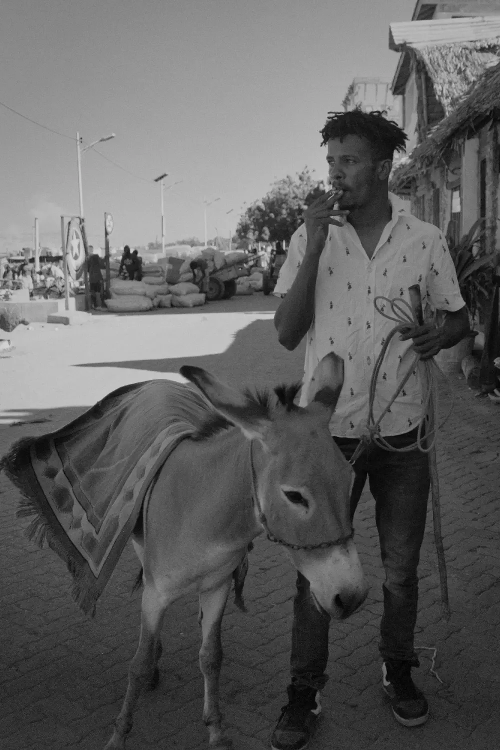 Kenya detail image 2