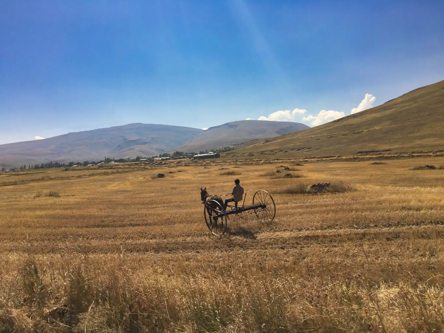 Turkey detail image 2