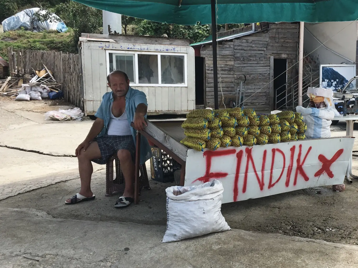 Turkey detail image 3