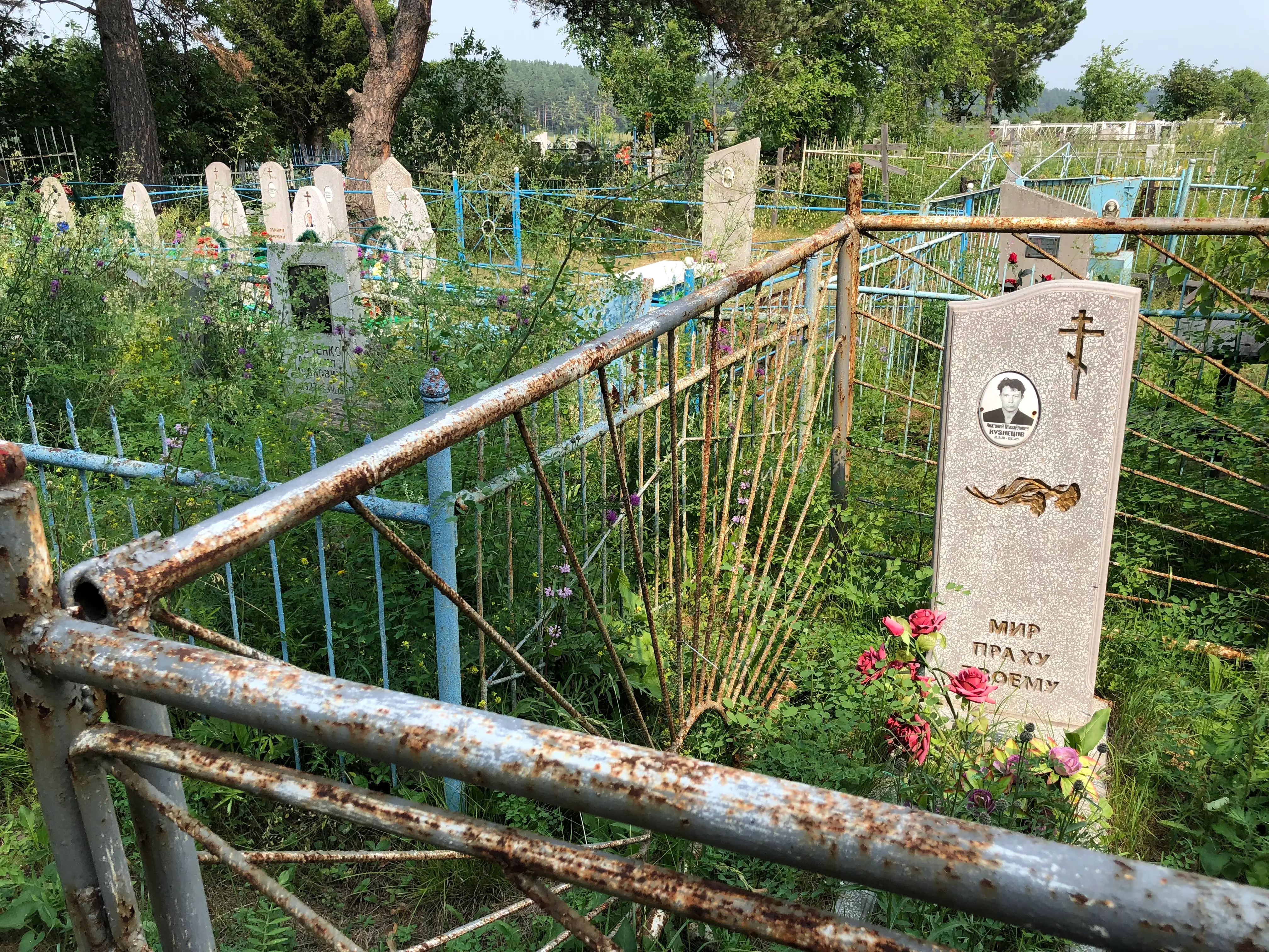 Russia detail image 3