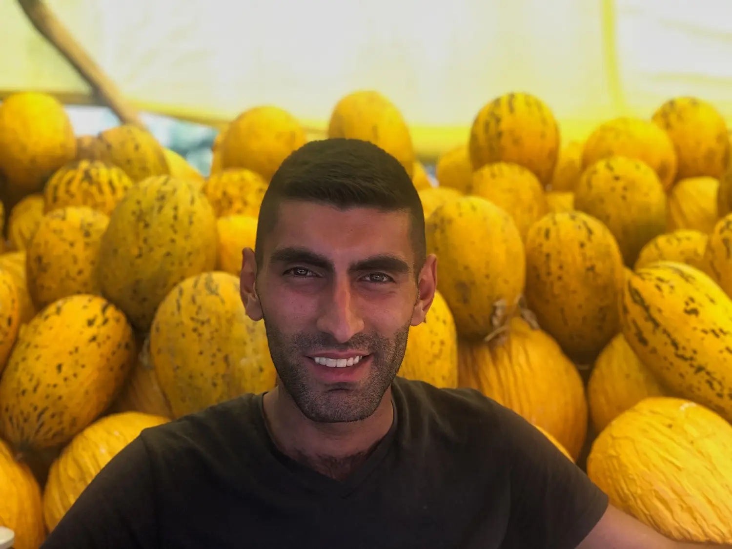 Turkey detail image 4