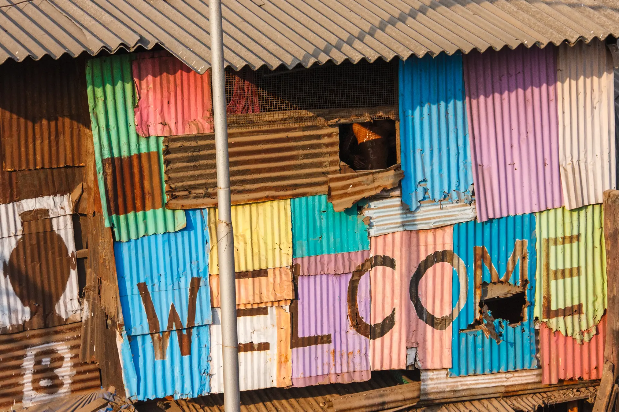 India detail image 4