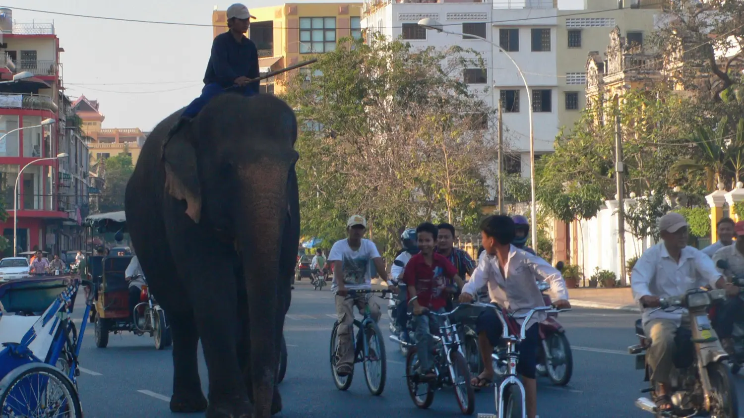 Cambodia detail image 4