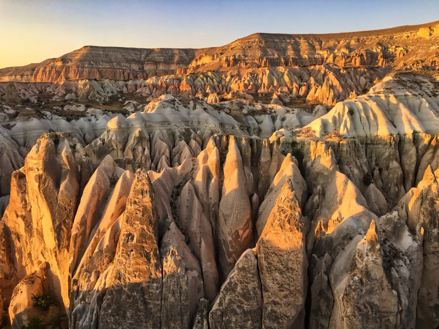 Turkey detail image 5