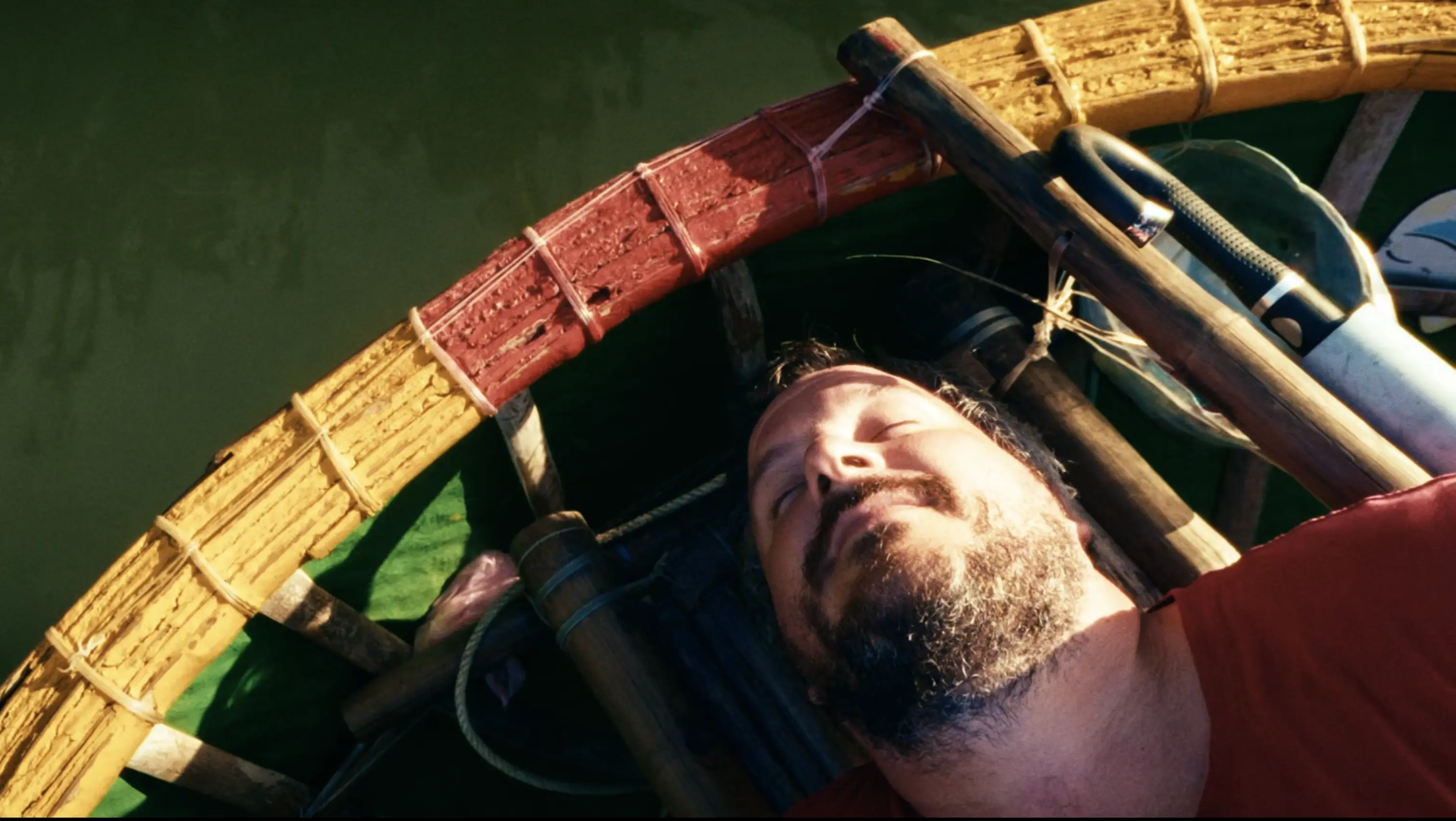 Rhinoceros detail image 5