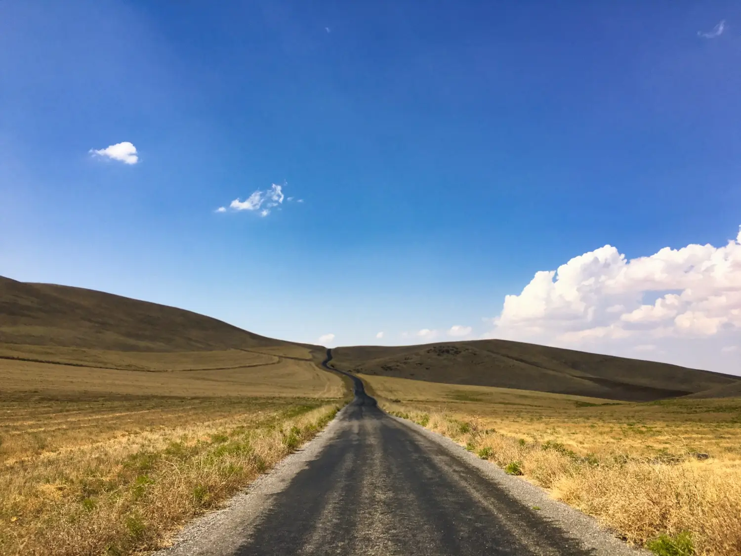 Turkey detail image 6