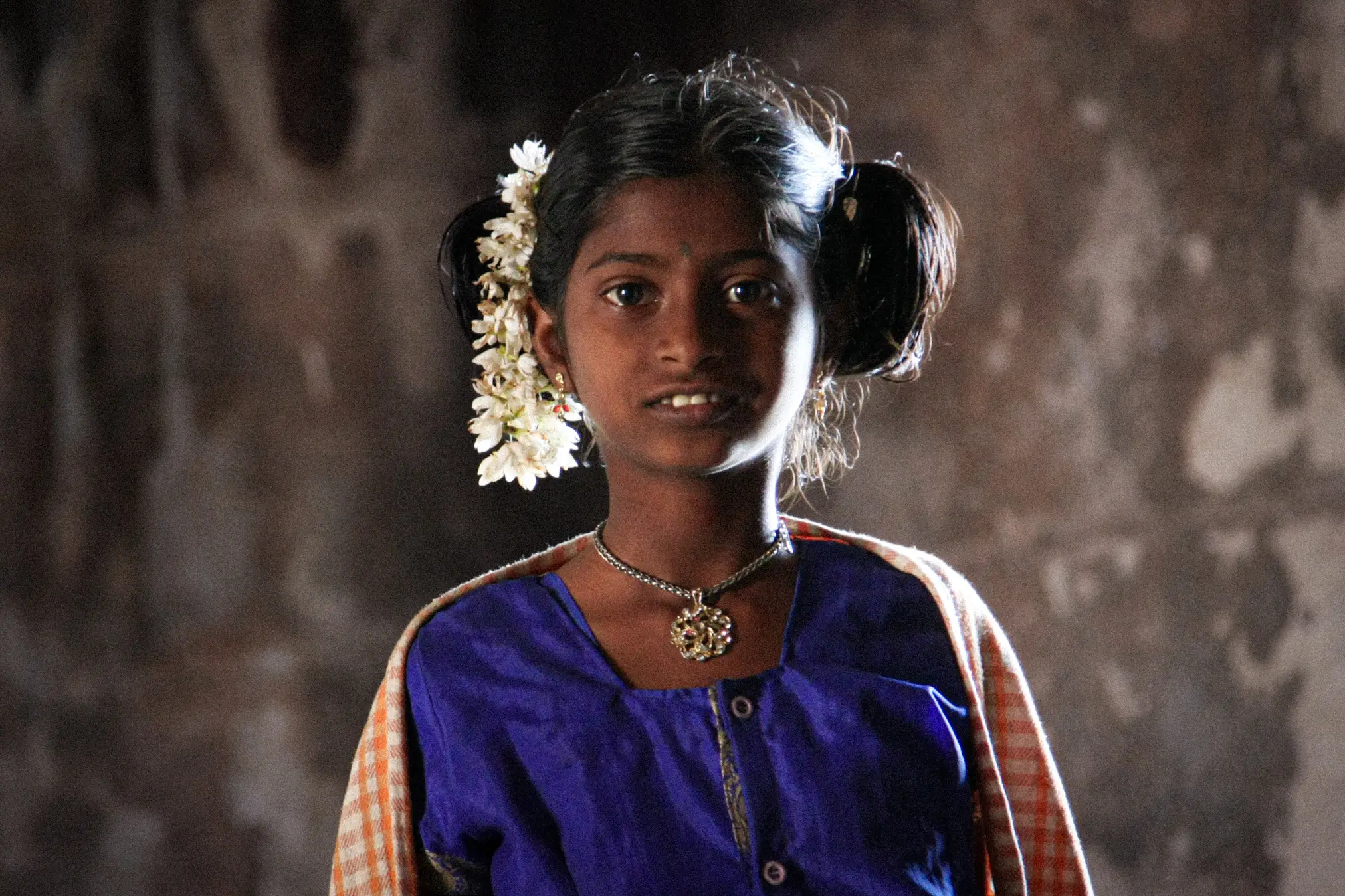 India detail image 6