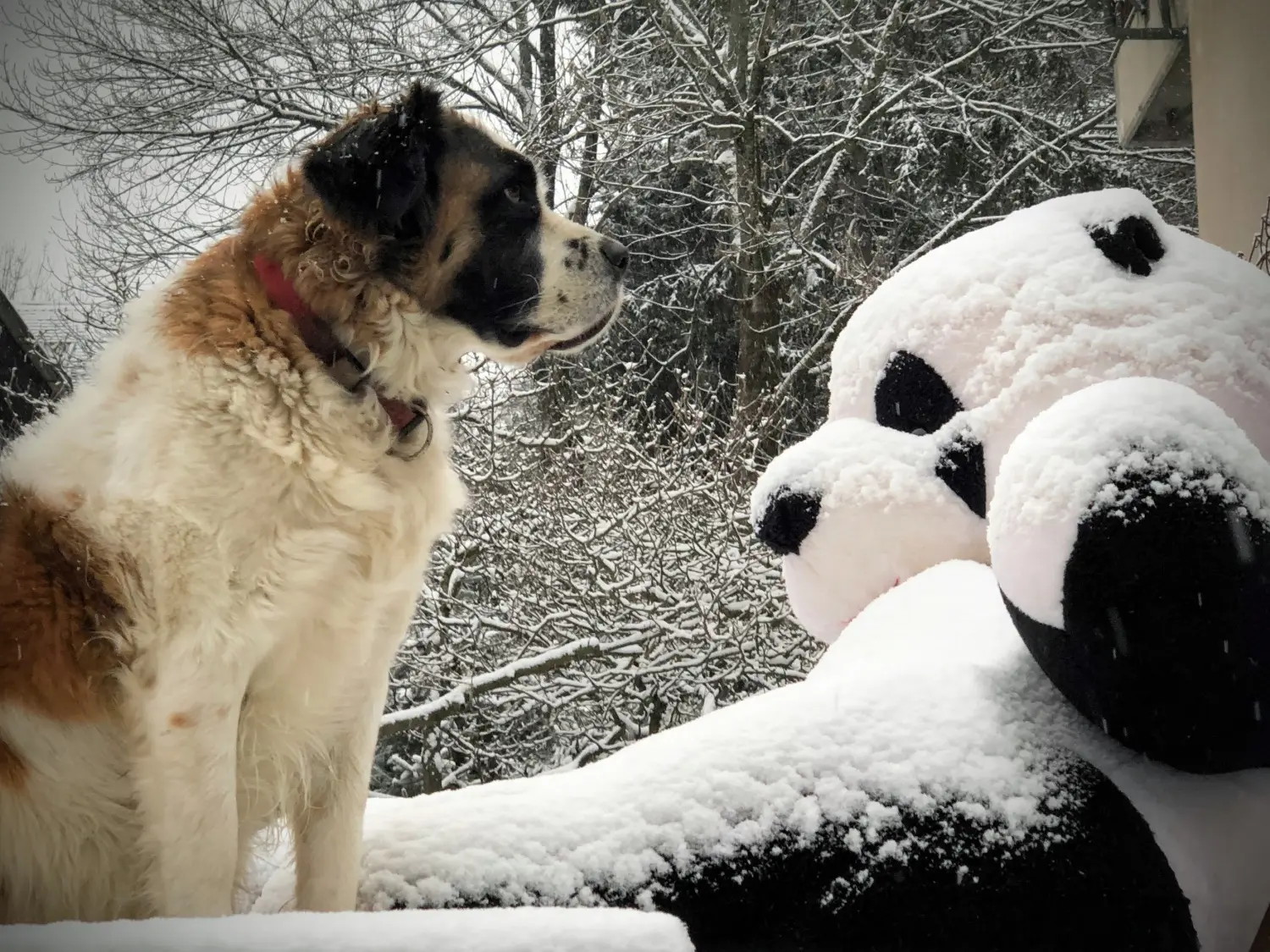 Croatia detail image 6