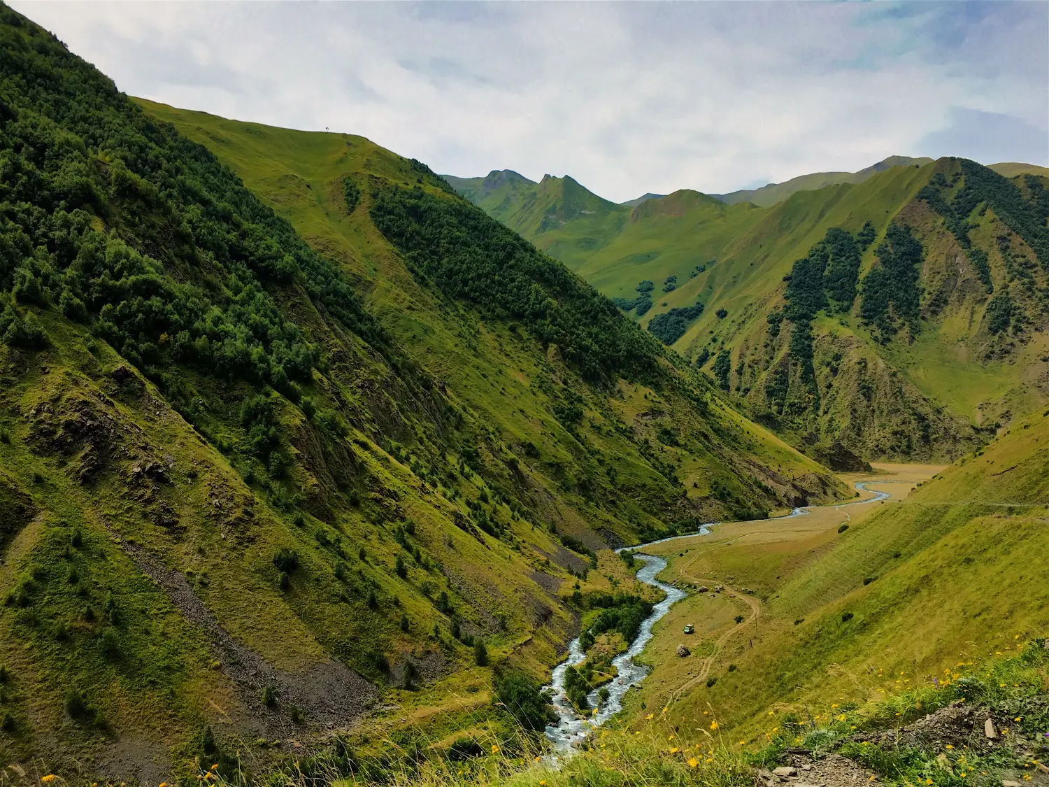 Georgia detail image 8