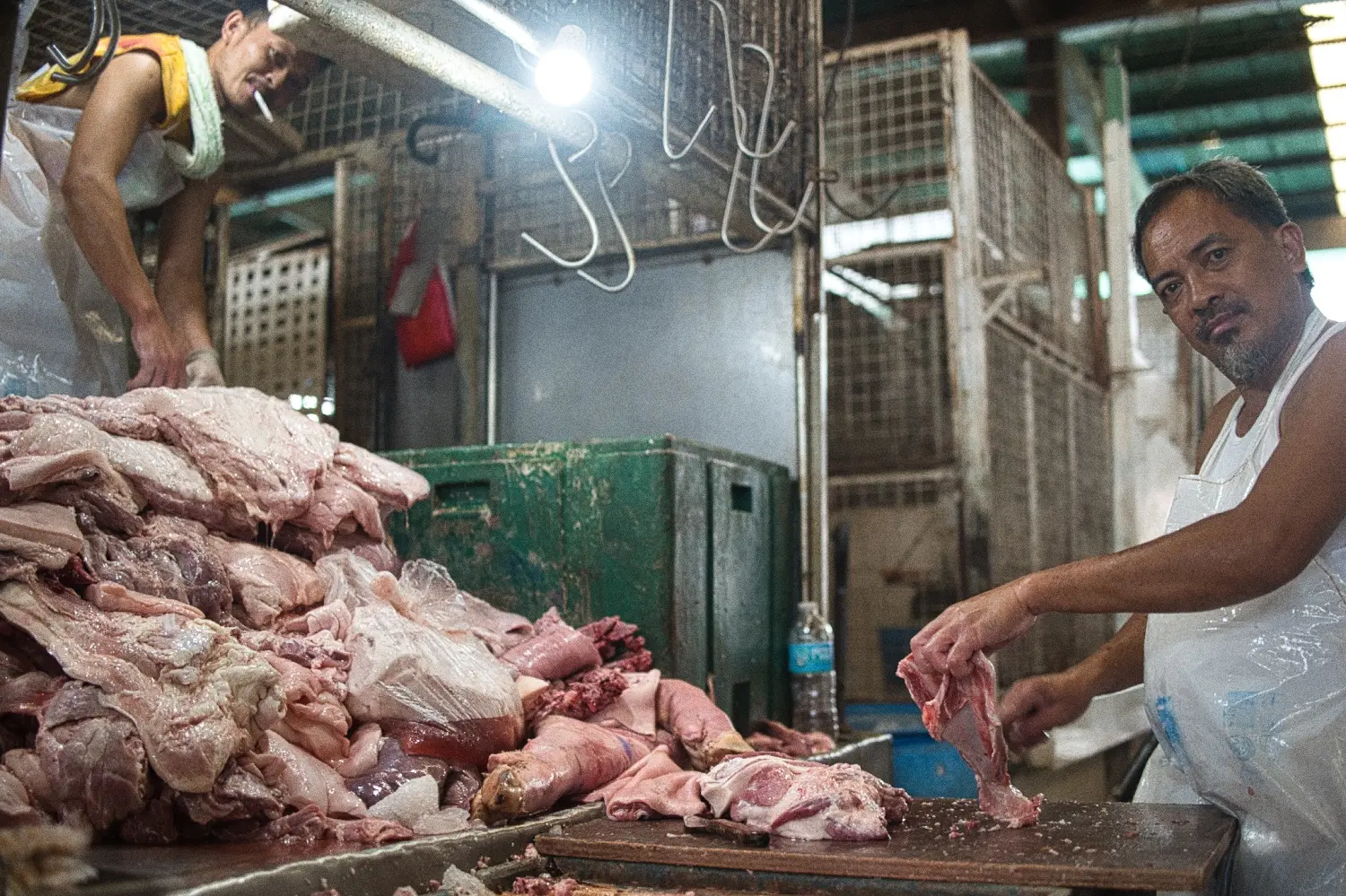 Philippines detail image 9