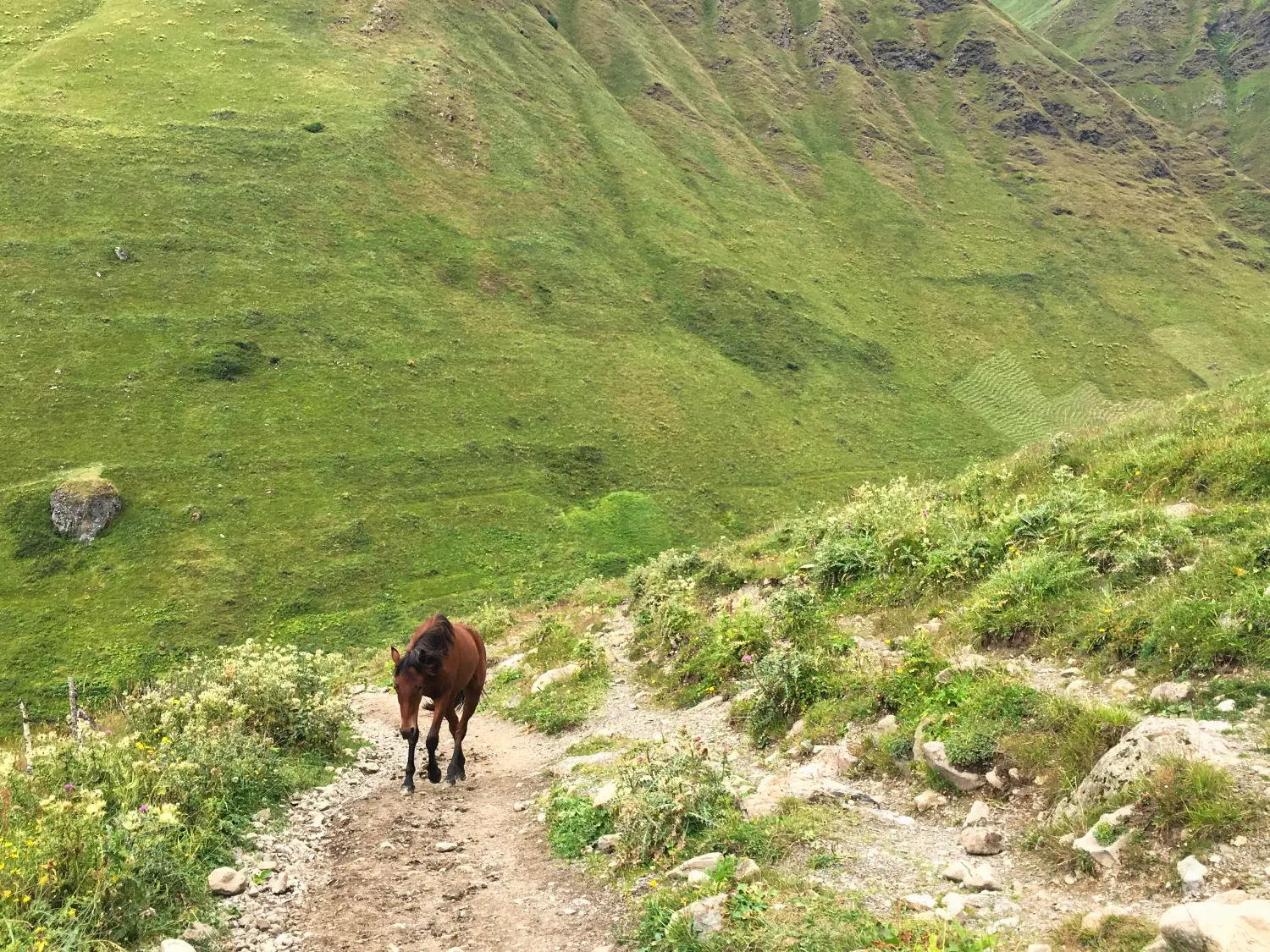 Georgia detail image 9