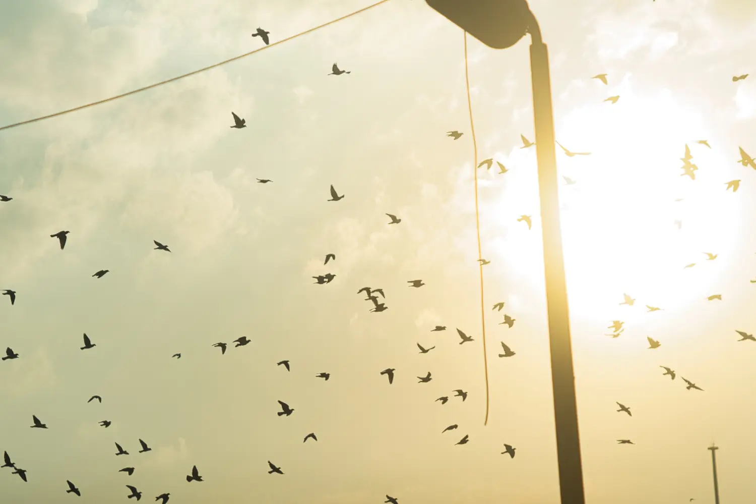 Egypt detail image 7